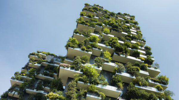 Tower block with greenery. Image: Dreamstime