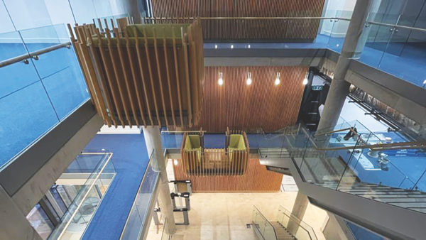 At the Pears Building, the new Institute of Immunity and Transplantation at the Royal Free Hospital in London, timber features strongly in the light-filled atrium.