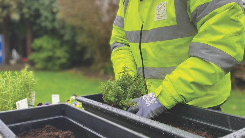 Contractor Clearly Renovations has encouraged its employees to make planters for site hoardings citing the positive impact of working with plants and nature to workers’ mental health