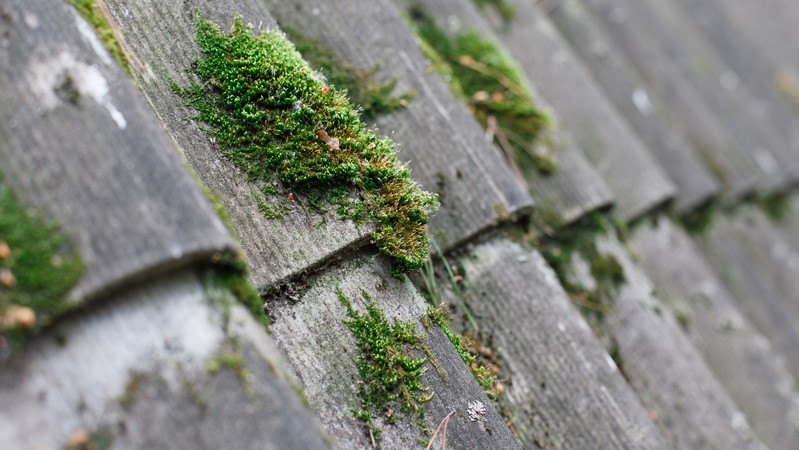 Asbestos roofing sheets