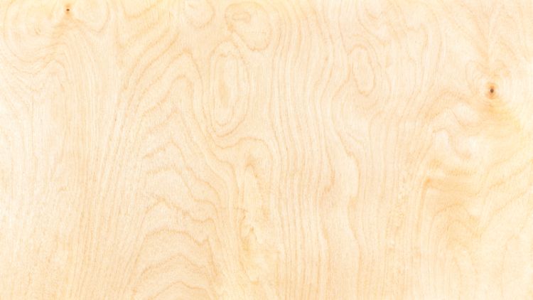 Birch plywood (Image: Dreamstime)
