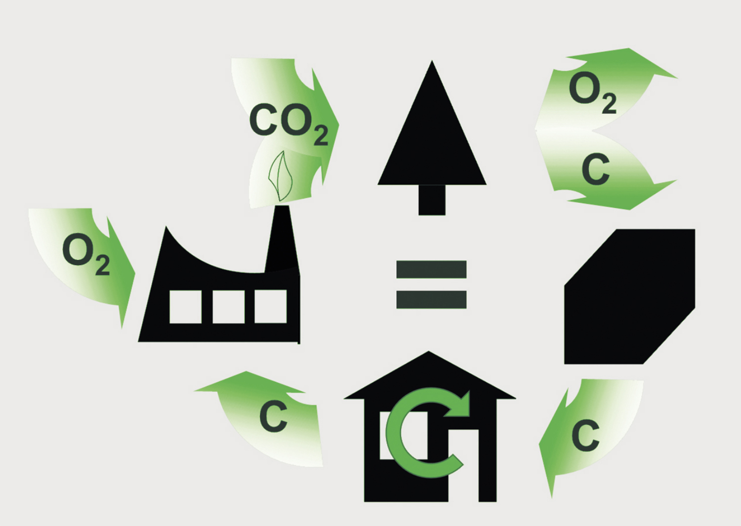 Carbon impact timber