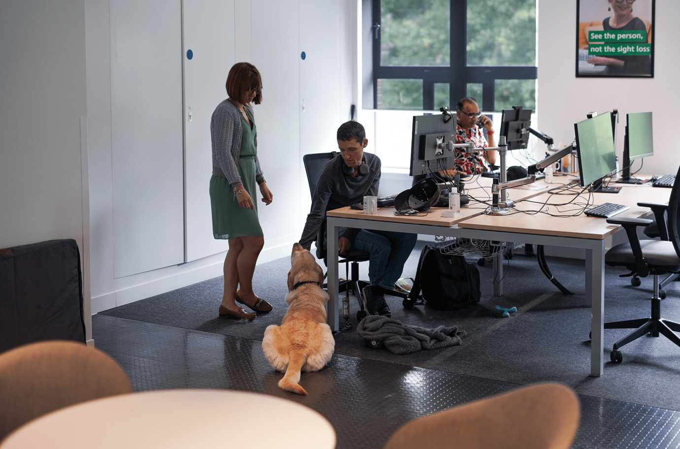 Two people in an office and a guide dog sitting on the floor.