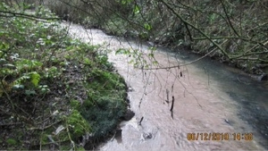 Image of a river that has been polluted.