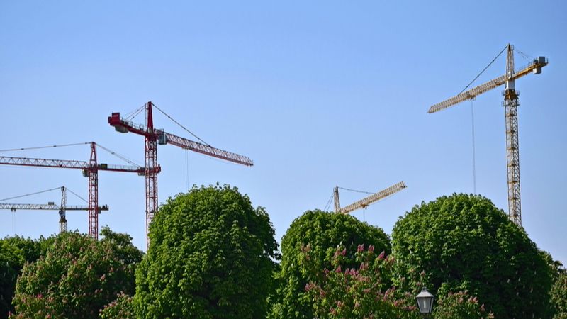 A skylne of trees and tower cranes.