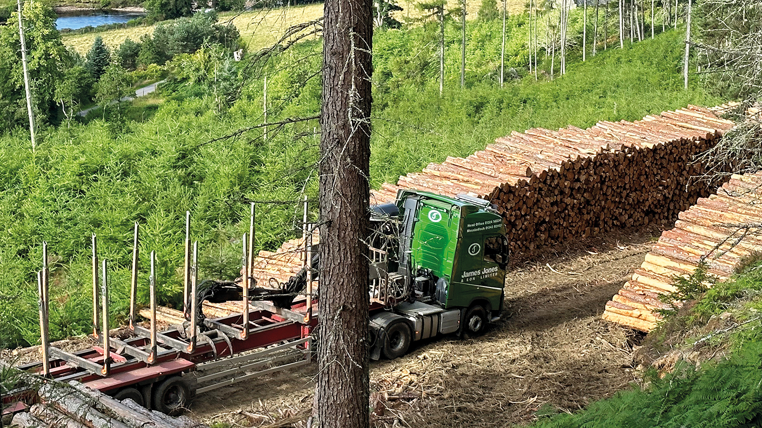 UK-grown timber