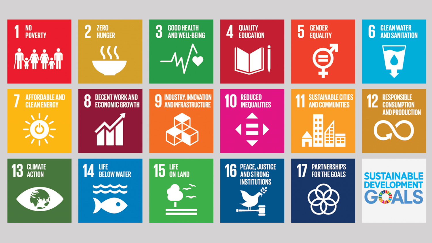 The UN Sustainable Development Goals and their relevance to ...