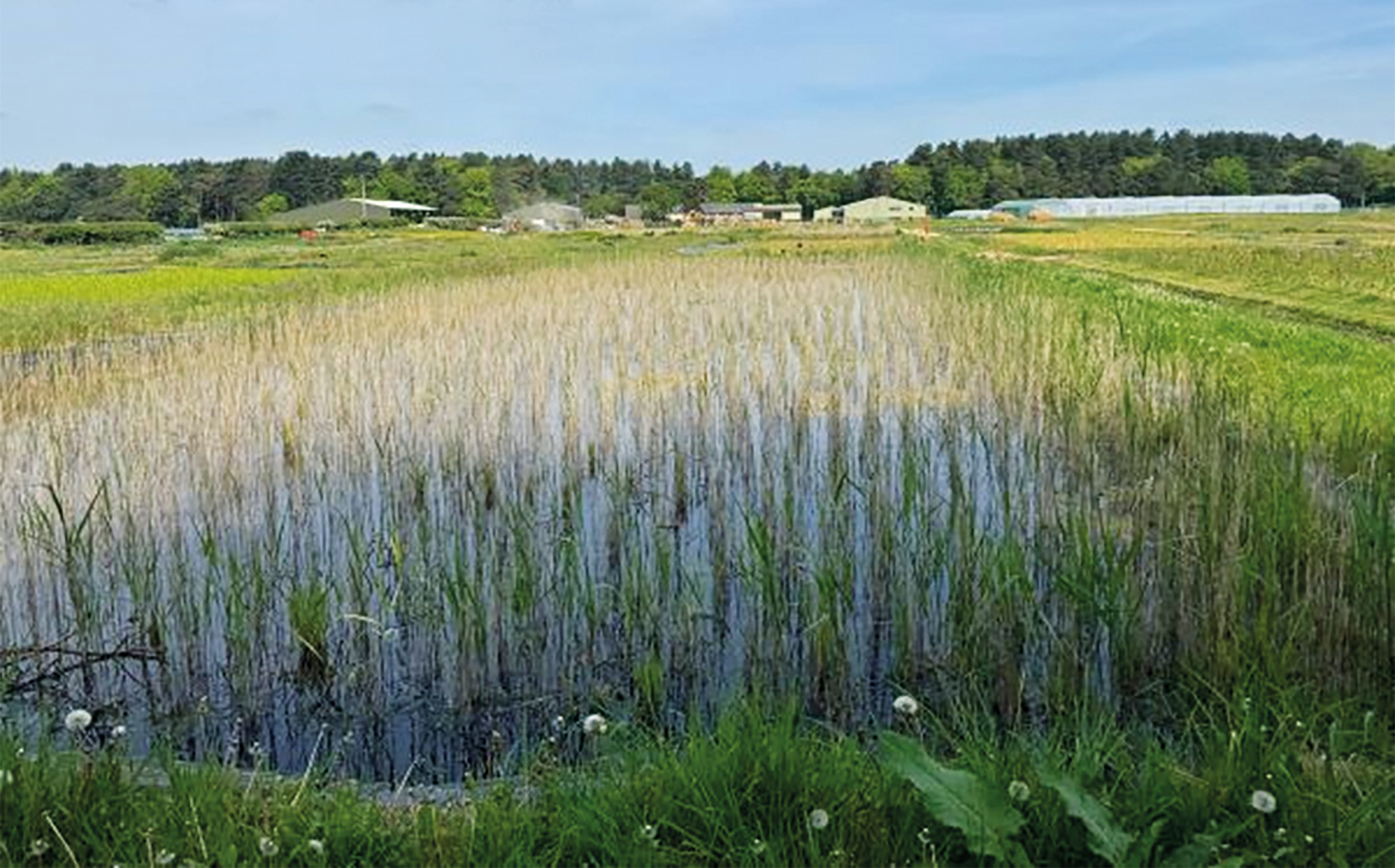 boosting biodiversity