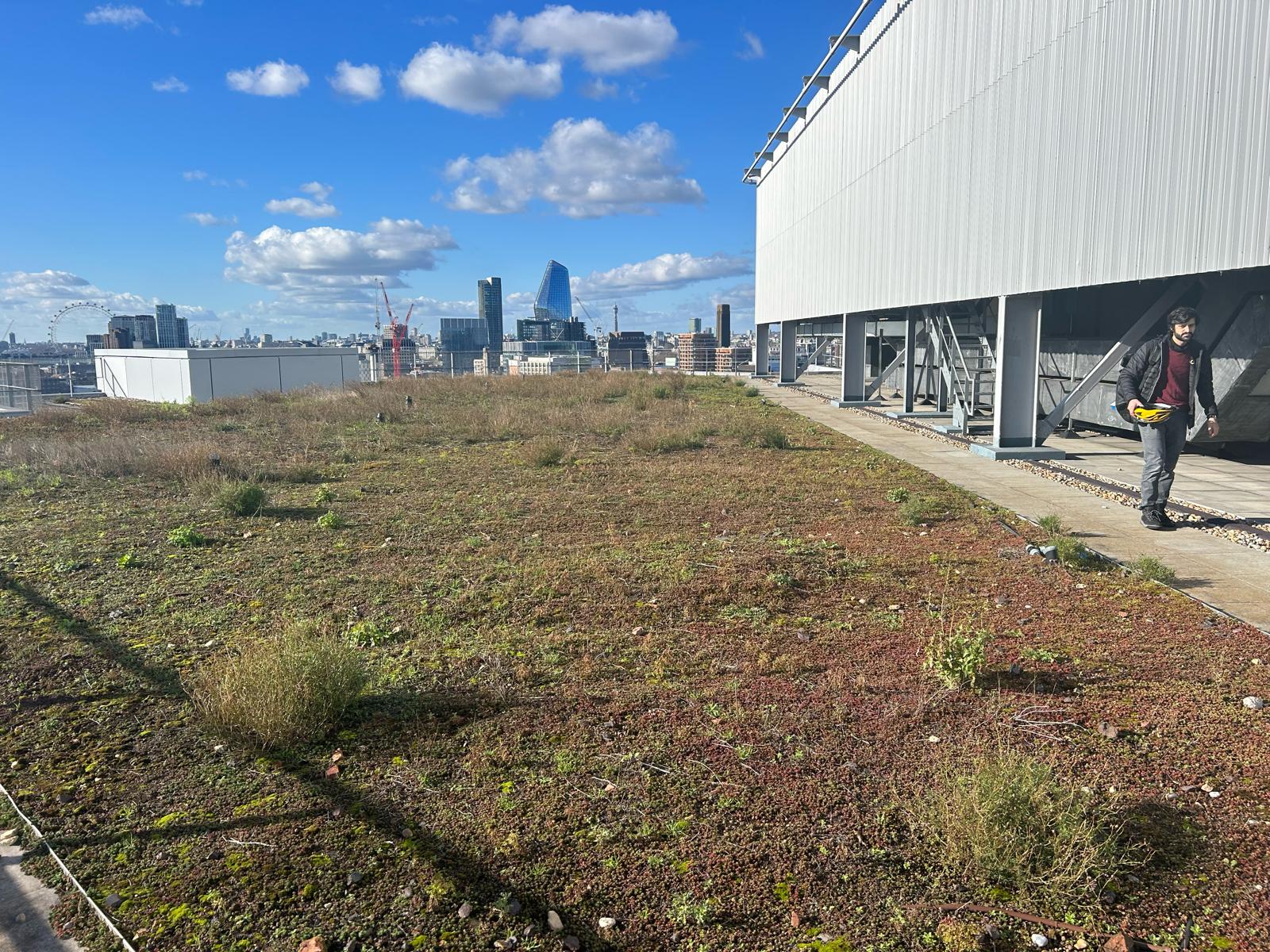 CK Group Services - A 'green roof' in a building with some tall buildings in the distance - a contractor has installed a drone landing area at a major NHS hospital.