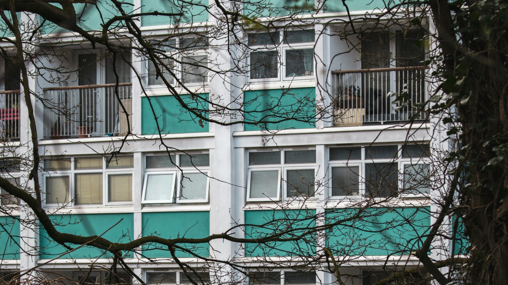 Tree branches in front of a modern residential building - Womble Bond Dickinson lawyers discuss the building safety highlights from 2024 and what to expect in 2025.
