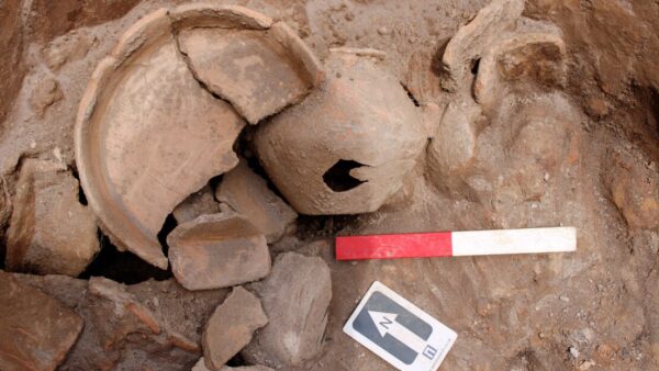 Black Burnish ware pottery jug, bowl and fragments - More than 17,000 fragments of Roman pottery found at Kier site