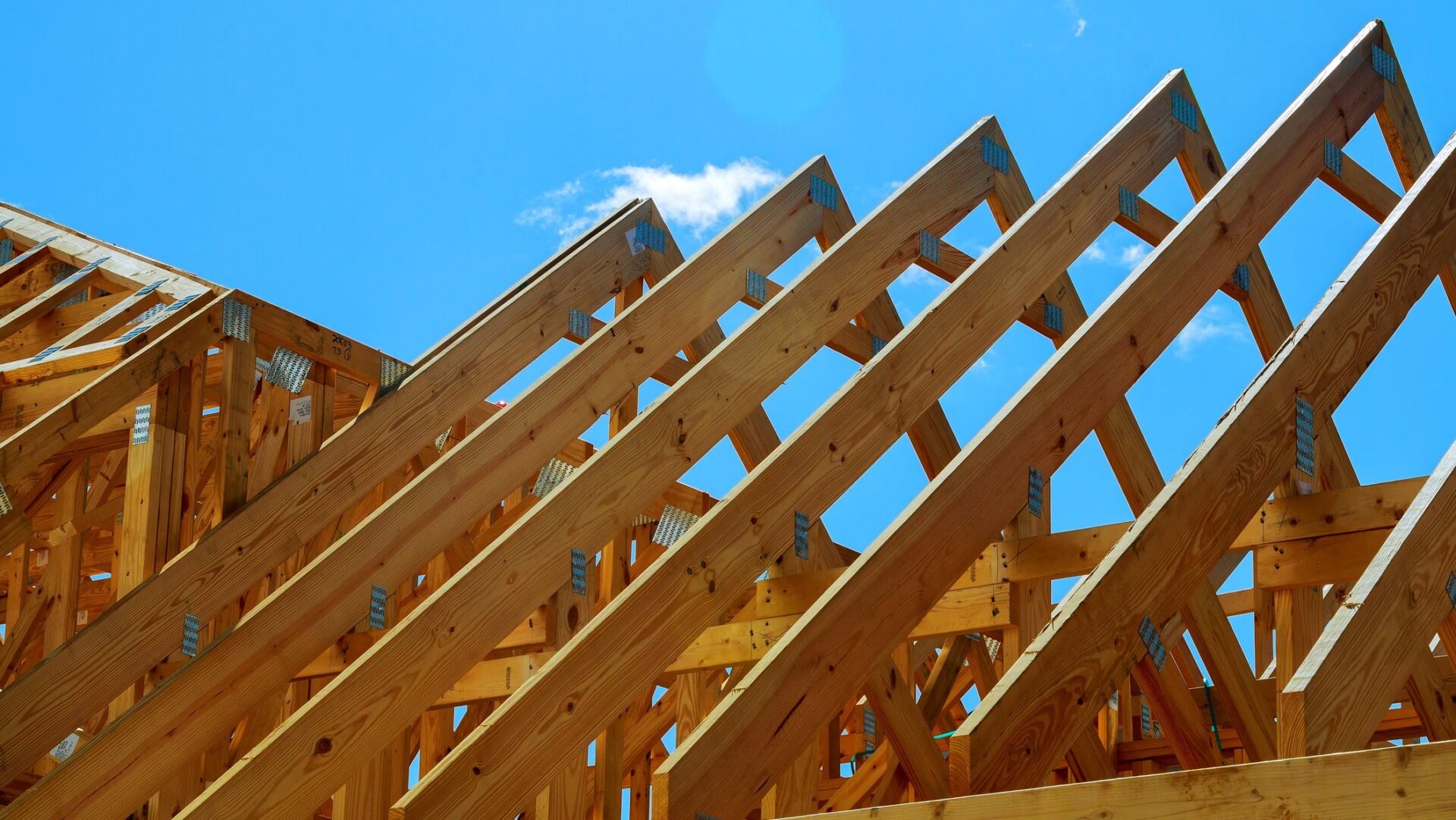 domestic builders licensing - A wooden roof construction - Federation of Master Builders (FMB) Unveils Model for Mandatory Licensing of Building Companies