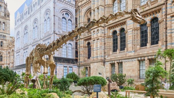 The life-size bronze cast model of a diplodocus image NHM