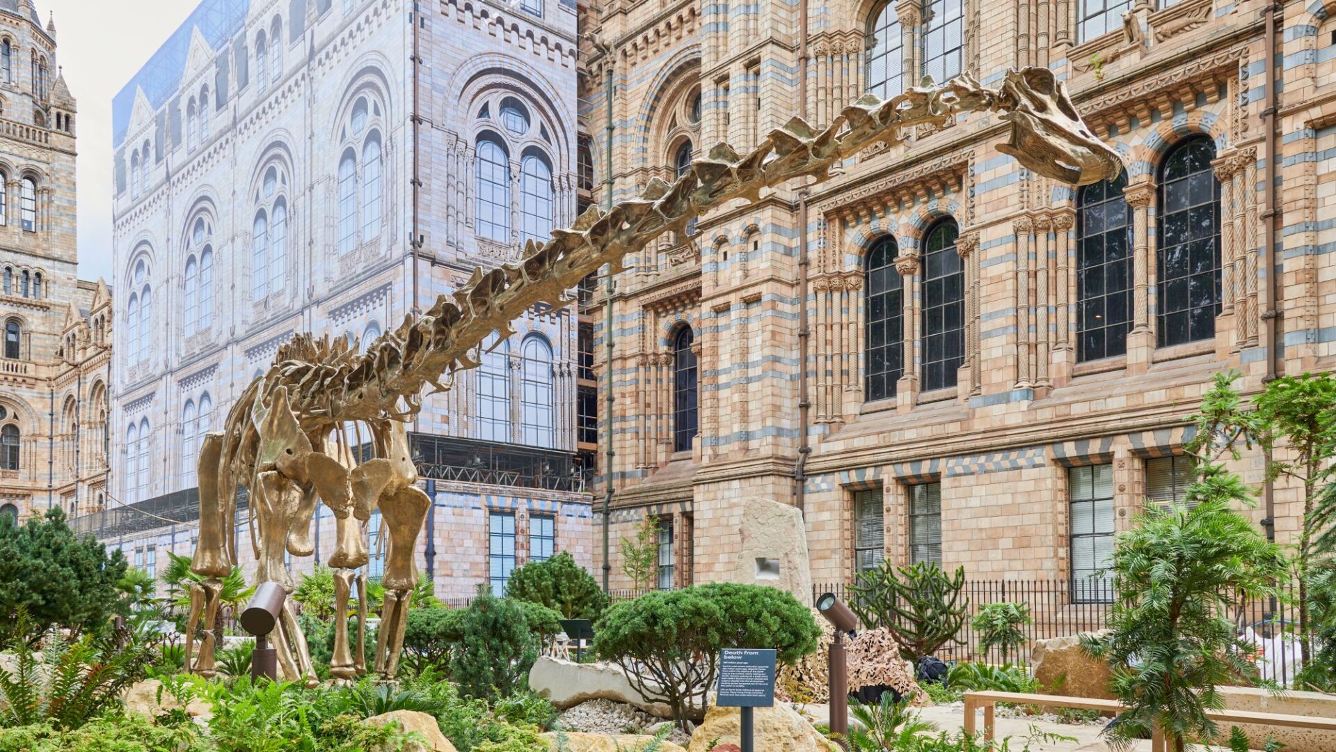 NHM Urban Nature Project - The life-size bronze cast model of a diplodocus image NHM