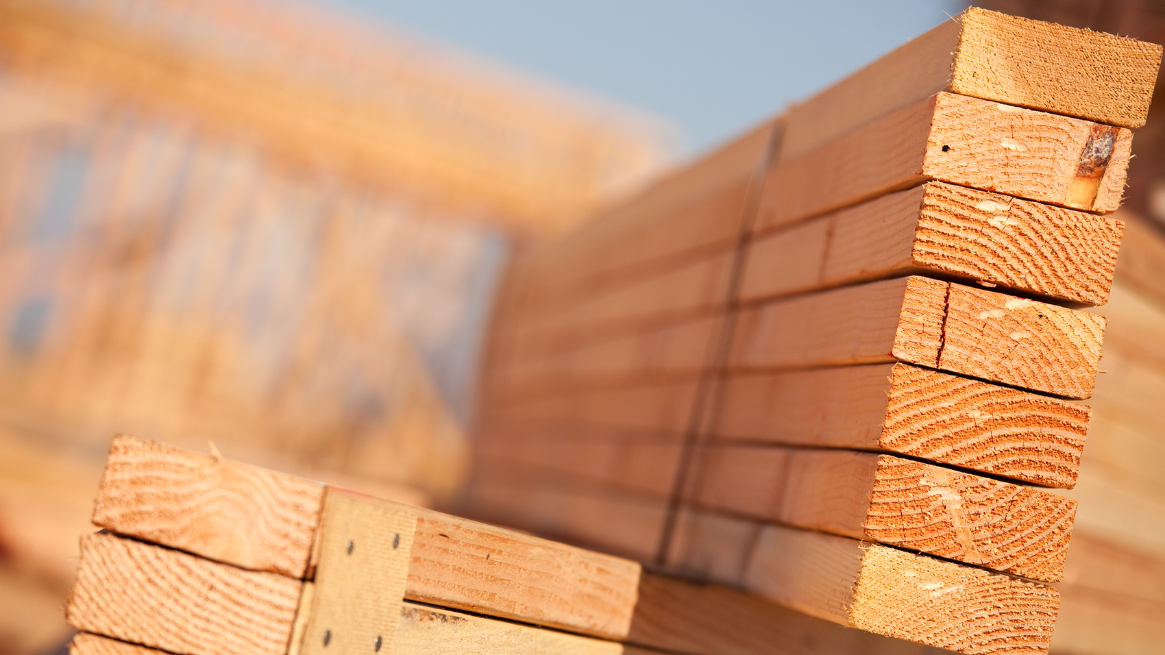 Saint-Gobain Hilti timber
