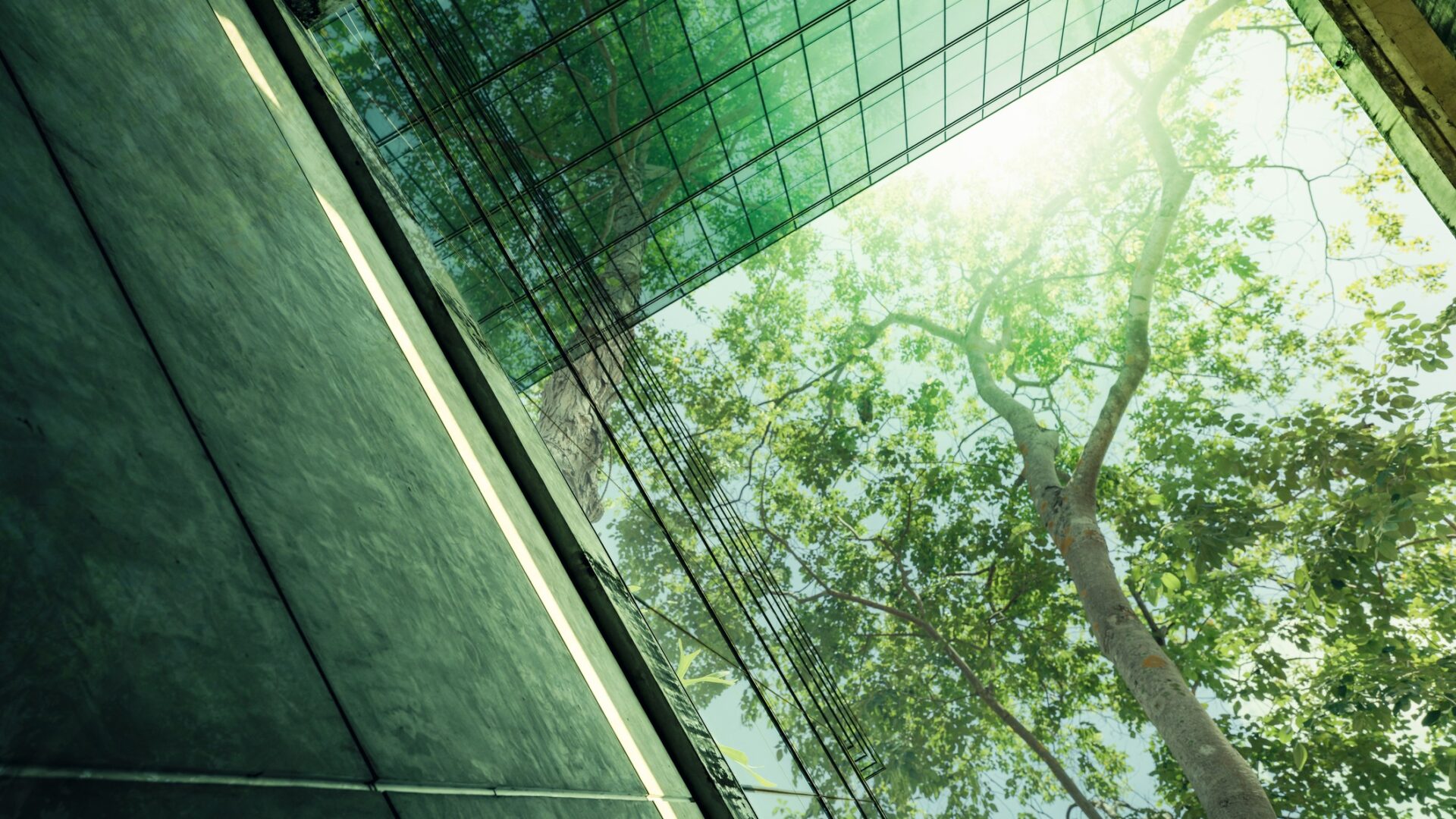 Sustainable glass office building with tree for reducing carbon dioxide - Mina Hasman writes why climate and nature literacy must be the new baseline for construction