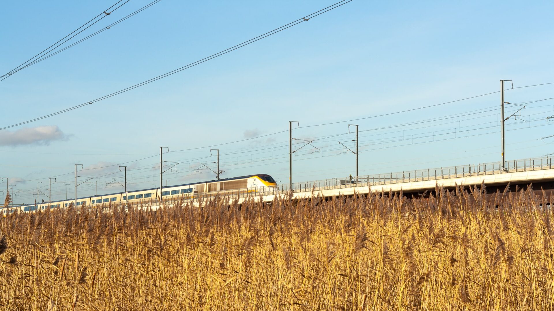 CBI PPP - A high-speed train going through a wheat field