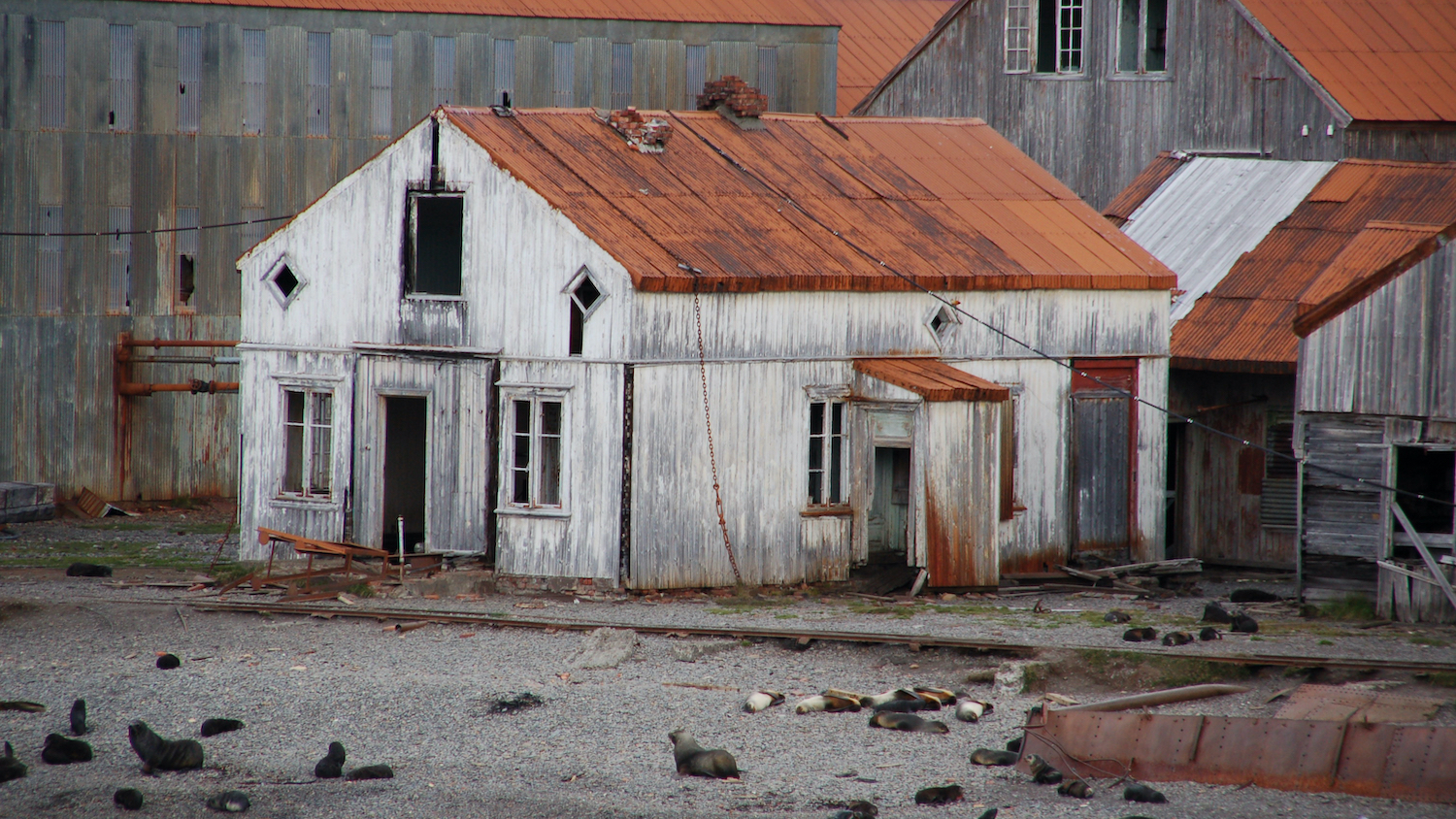 Image: RSK Group/South Georgia Heritage Trust