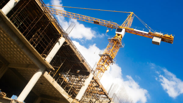 Image: Alfredo Angeles | Dreamstime.com