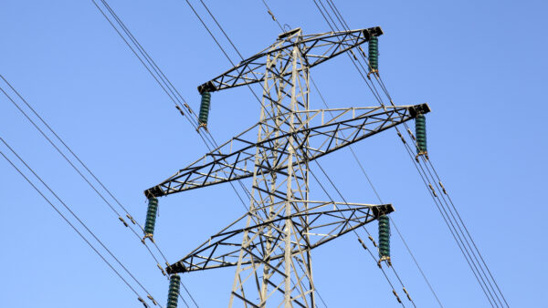 Image: Gynane | Dreamstime.com