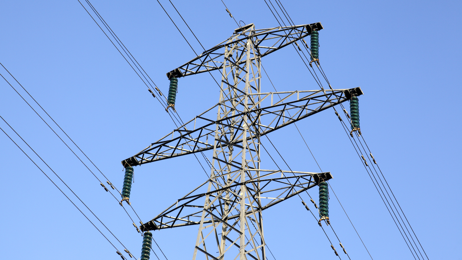 Image: Gynane | Dreamstime.com