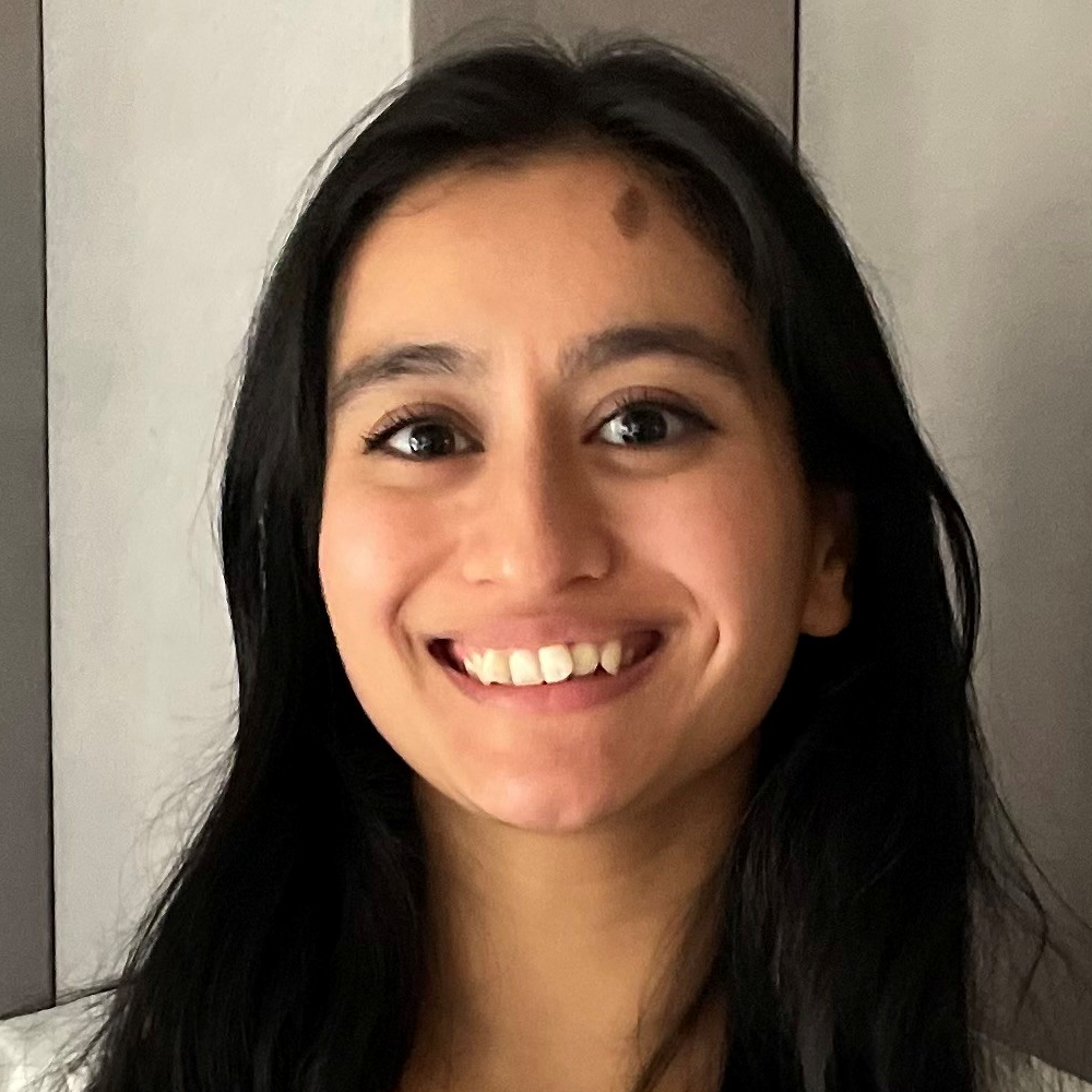 Image: Rowshi Hussain