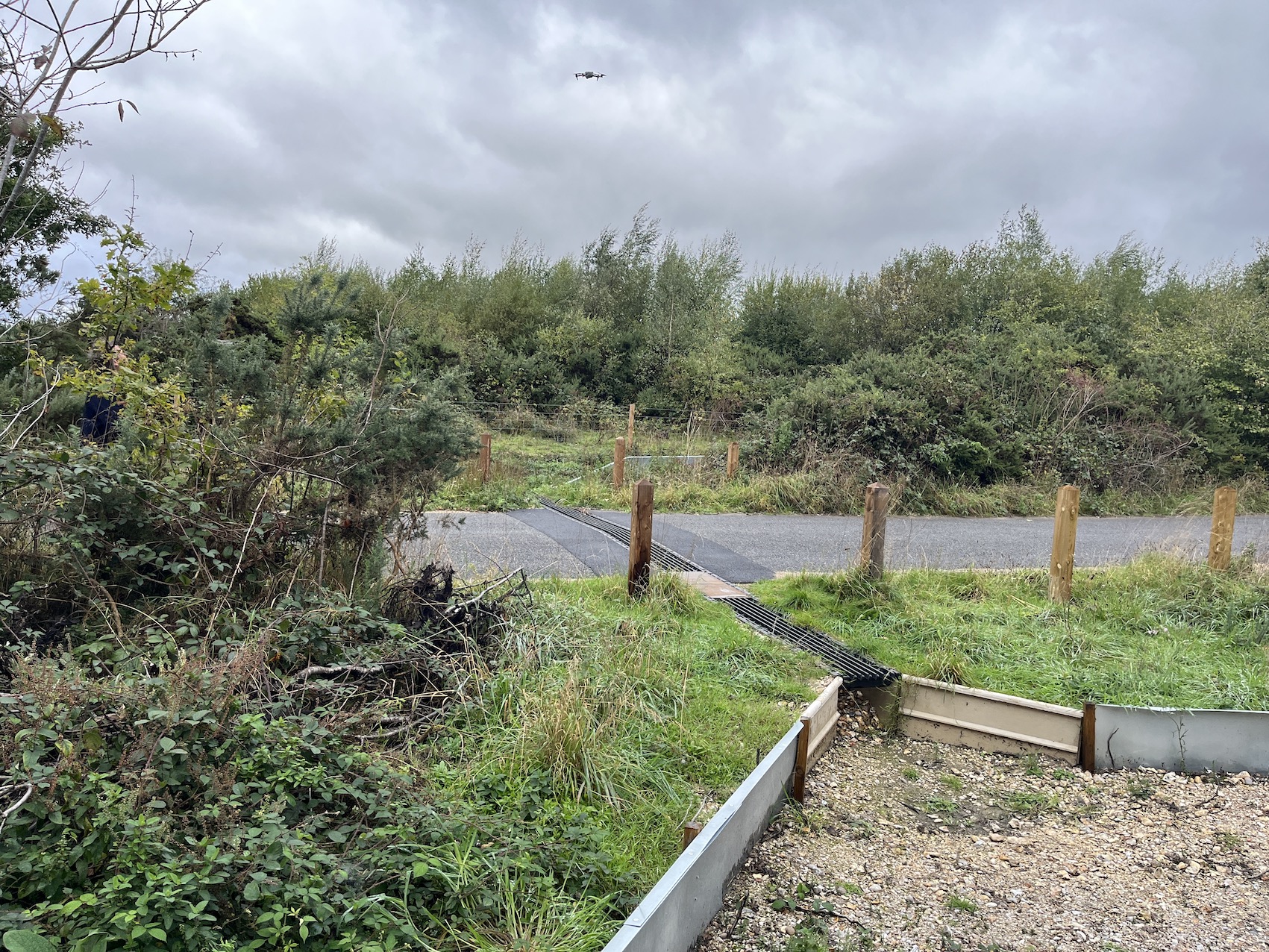 Adder underpasses - The specially-designed snake tunnels link two isolated populations at Berkshire’s biggest open heath.