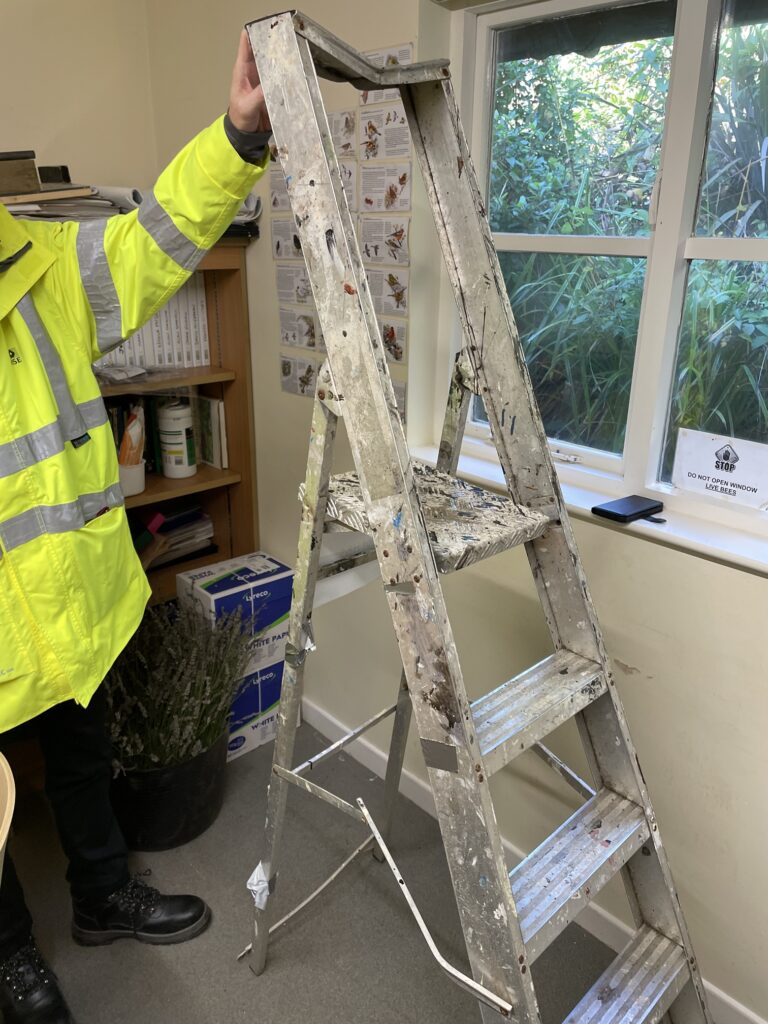 Wirral council stepladder fall