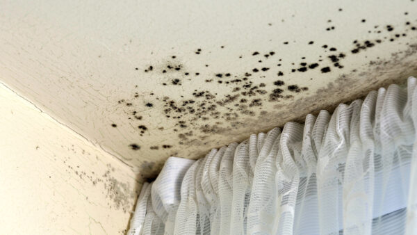 The guide takes into account legislative developments such as Awaab’s Law and the Hazards in Social Housing (Prescribed Requirements) (England) Regulations 2025. Image: Graham Corney | Dreamstime.com