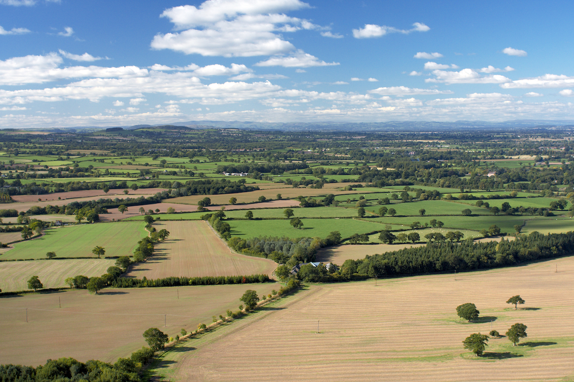 LHS Naturum - Property consultancy teams up with habitat-cultivator Naturum to help developers get biodiversity net gain (BNG) units